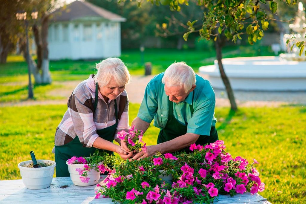 The Surprising Health Benefits of Garden Landscaping