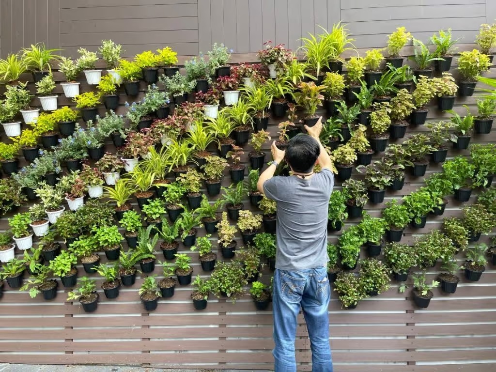 Vertical Gardening Ideas for Limited Space: Cultivating Greenery in Tight Areas