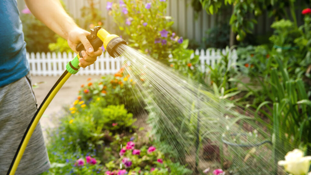 Maximising Water Efficiency in Your Garden: Techniques for Healthier Plants and Lower Bills