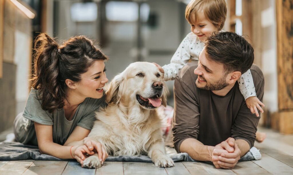 How Pets Improve Family Mental Health