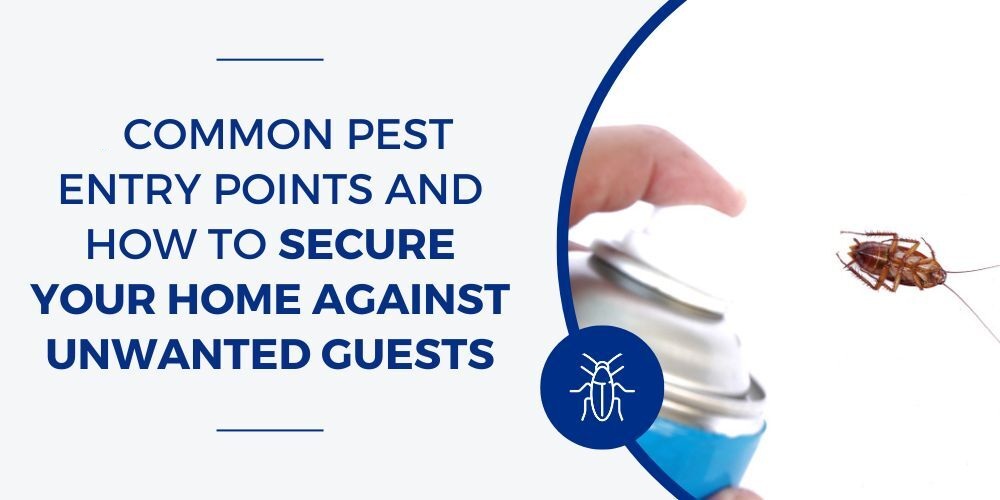 The Most Common Pest Entry Points in Your Home